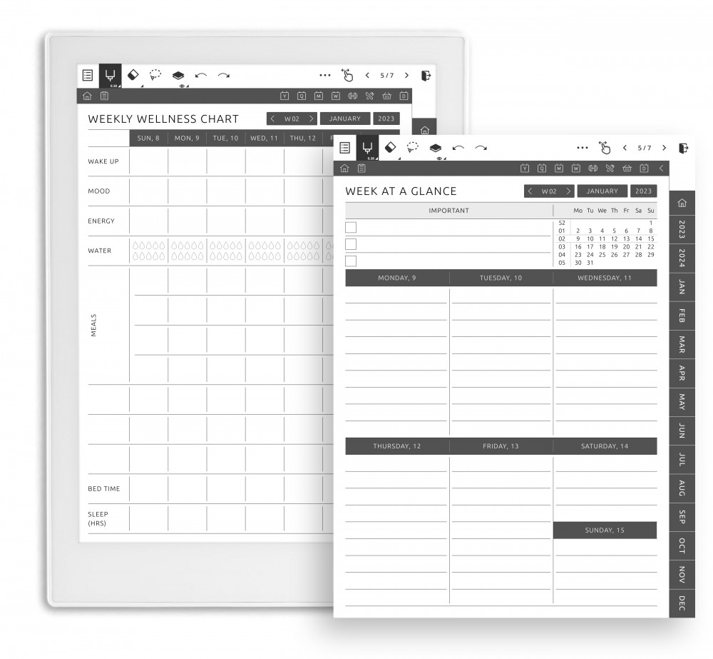 Weekly Plan and Wellness Chart Template for Supernote